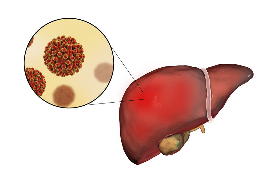 كيف ينتقل التهاب الكبد B؟