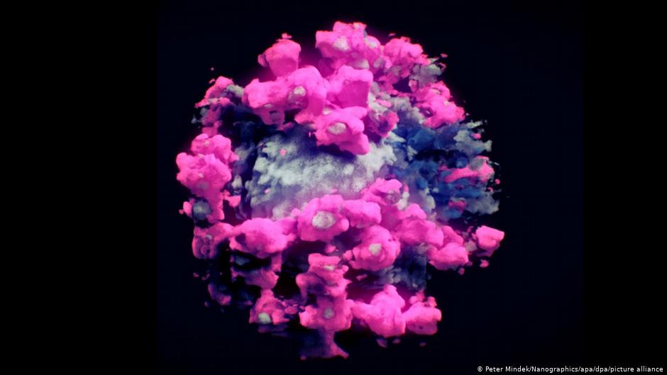 أول صورة ثلاثية الأبعاد لفيروس كورونا